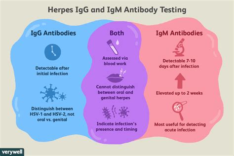 <b>Herpes</b> <b>tests</b> can produce both <b>false</b> negatives and <b>false</b> <b>positives</b>. . False positive herpes blood test